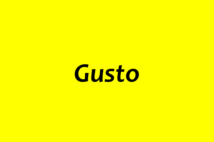 Software Development Firm Gusto