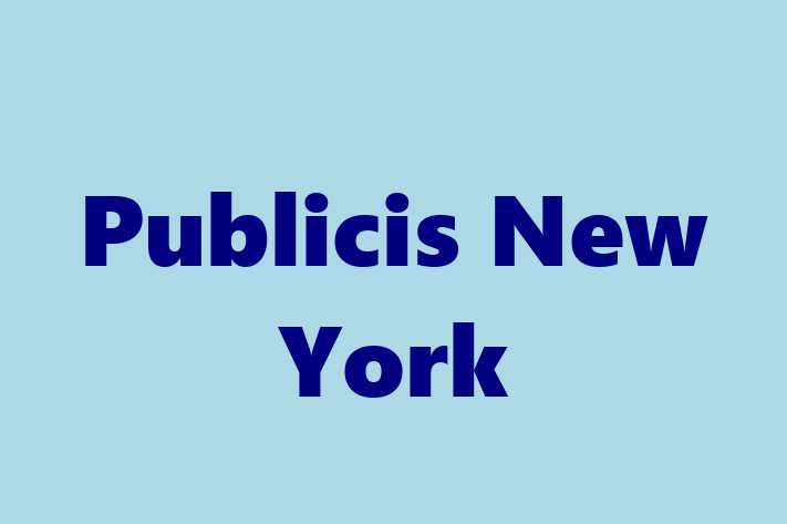 Software Consultancy Publicis New York