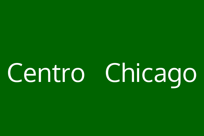 Application Development Company Centro  Chicago