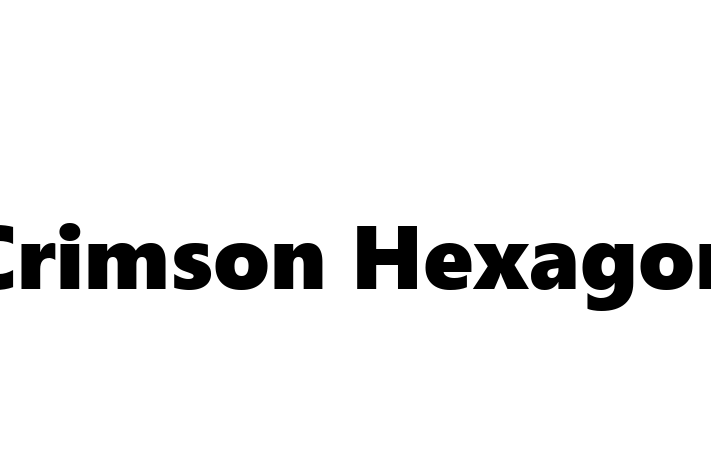 Software Services Company Crimson Hexagon