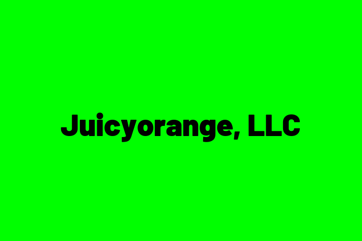 Software Engineering Company Juicyorange LLC