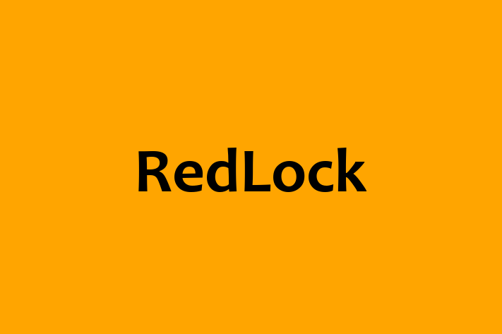 Application Development Company RedLock