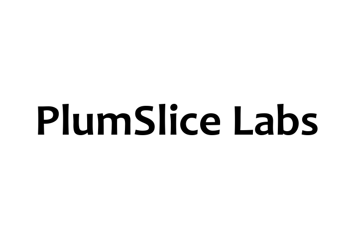 Technology Company PlumSlice Labs