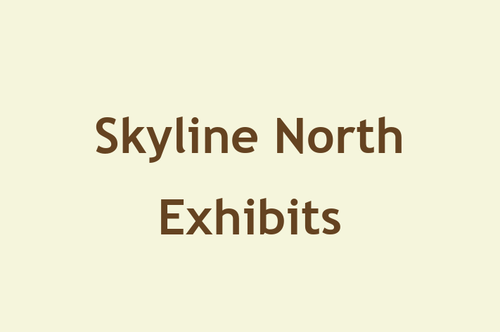 IT Company Skyline North Exhibits