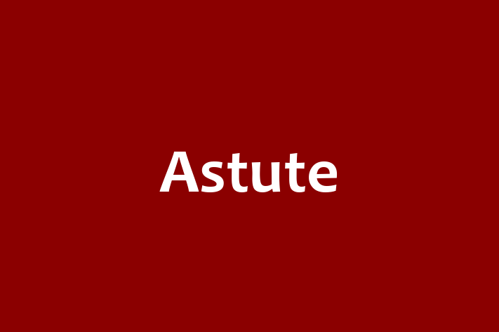 Software Engineering Company Astute