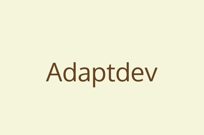 IT Company Adaptdev