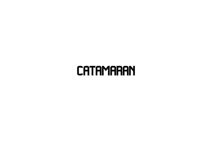 Software Firm Catamaran