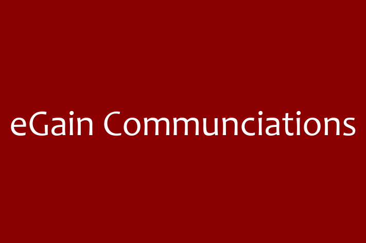 Digital Solutions Provider eGain Communciations