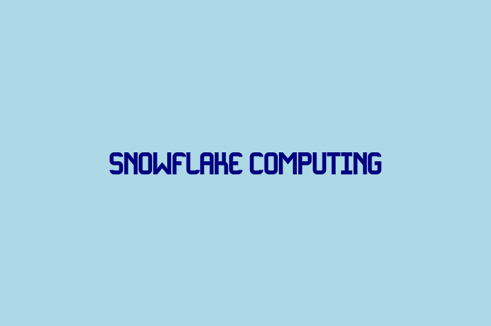 Software House Snowflake Computing