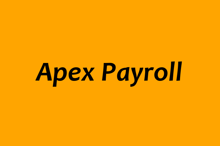 Software Development Company Apex Payroll