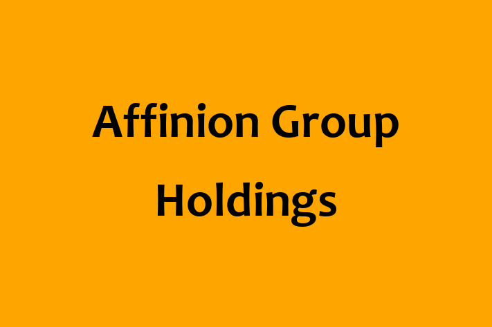 Tech Solutions Company Affinion Group Holdings