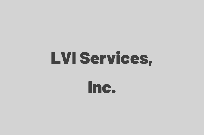 Technology Solutions Firm LVI Services Inc.