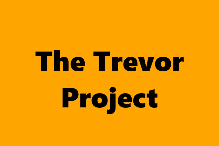 Human Resource Management The Trevor Project