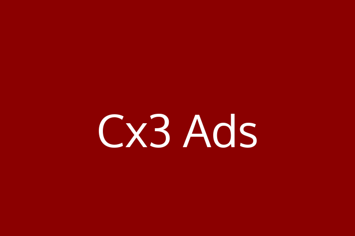 Tech Solutions Company Cx3 Ads