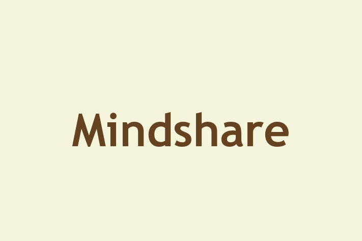 Tech Solutions Company Mindshare