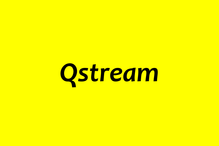 Technology Solutions Firm Qstream