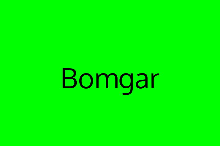 Tech Solutions Company Bomgar