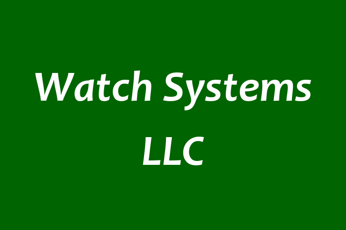 Software Consultancy Watch Systems LLC