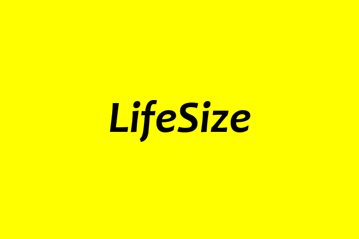 Technology Solutions Firm LifeSize