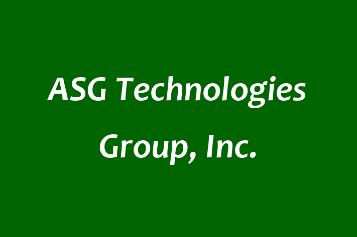 Tech Solutions Company ASG Technologies Group Inc.