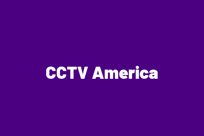 Software Consultancy CCTV America