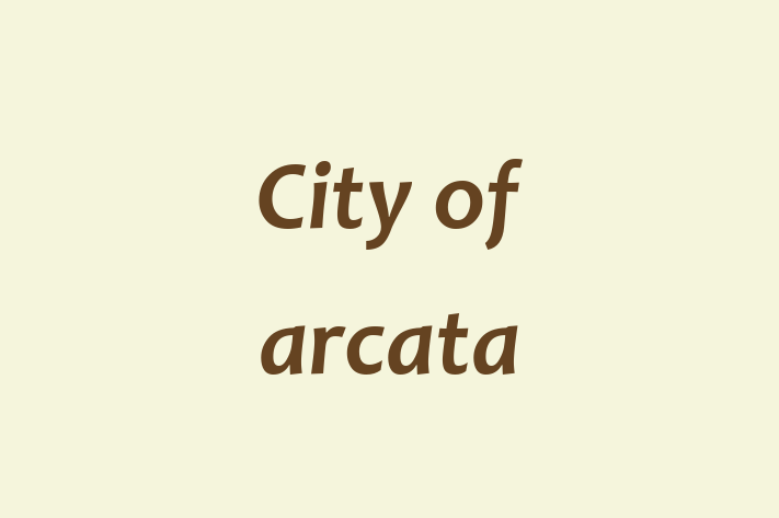 Technology Solutions Firm City of arcata