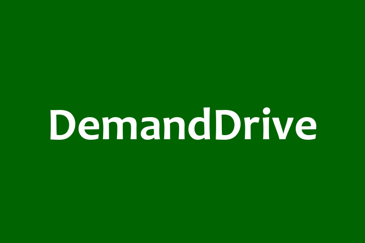 Technology Company DemandDrive