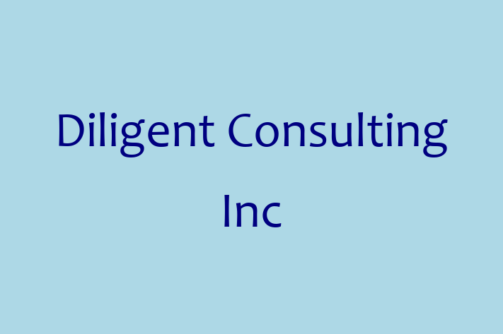 Tech Solutions Company Diligent Consulting Inc