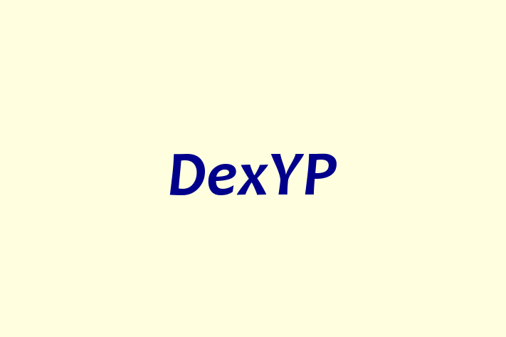 Application Development Company DexYP