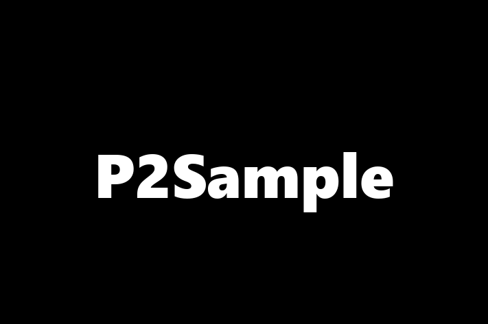 Software Development Company P2Sample