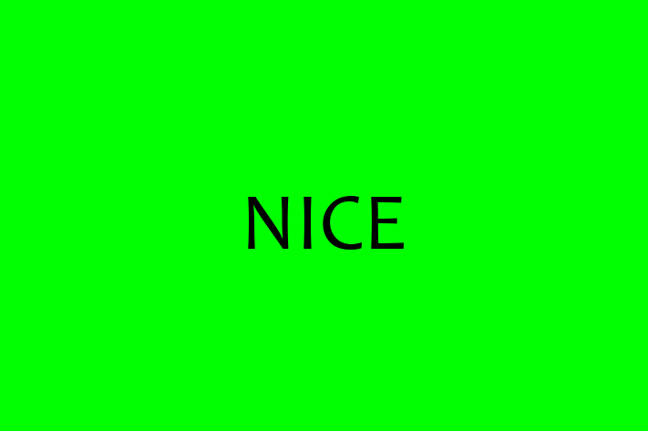 Software Engineering Company NICE