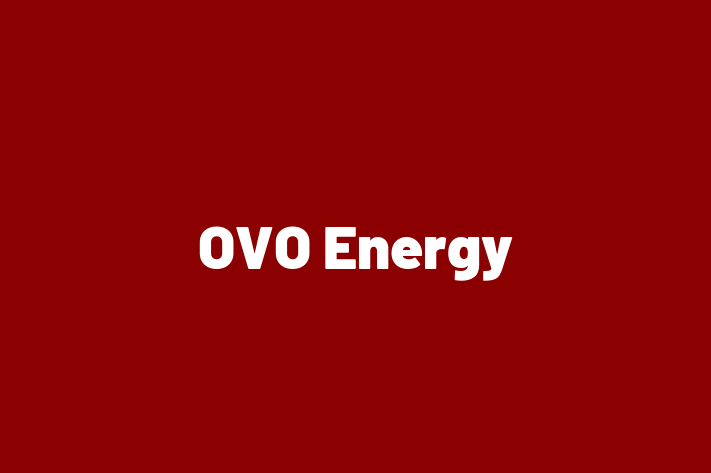 Digital Solutions Provider OVO Energy