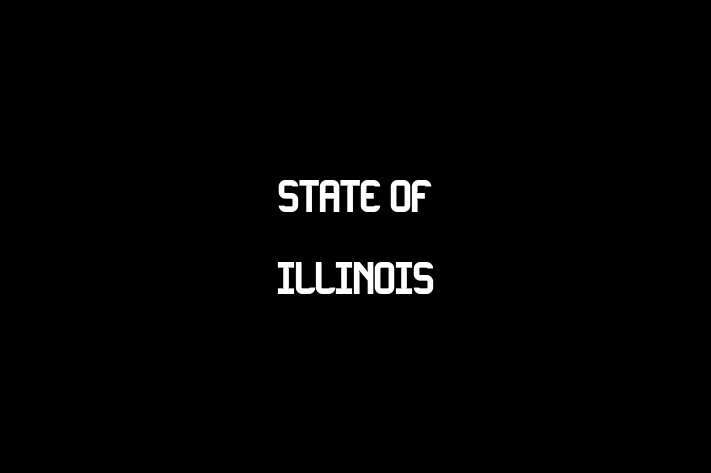 Human Capital Management State of Illinois