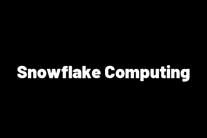 Software Engineering Company Snowflake Computing