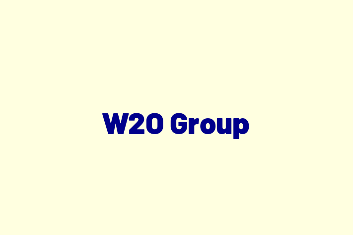 Software Development Firm W2O Group