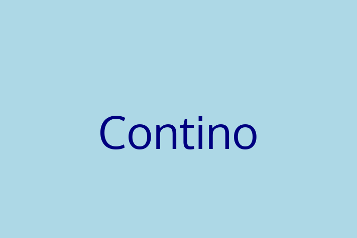 Software Development Company Contino