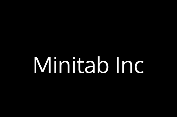 Software Development Company Minitab Inc