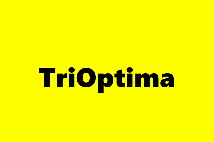 IT Company TriOptima