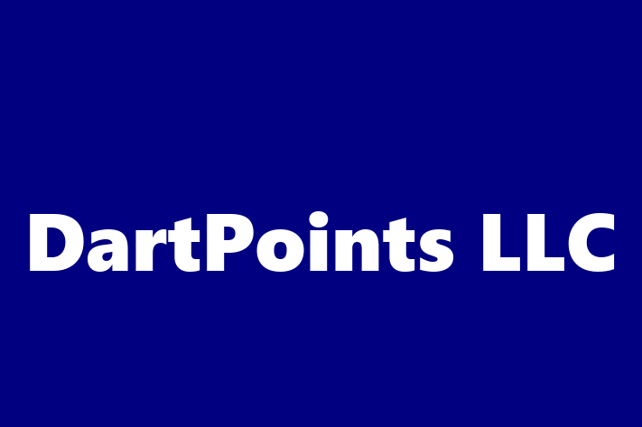 Technology Company DartPoints LLC