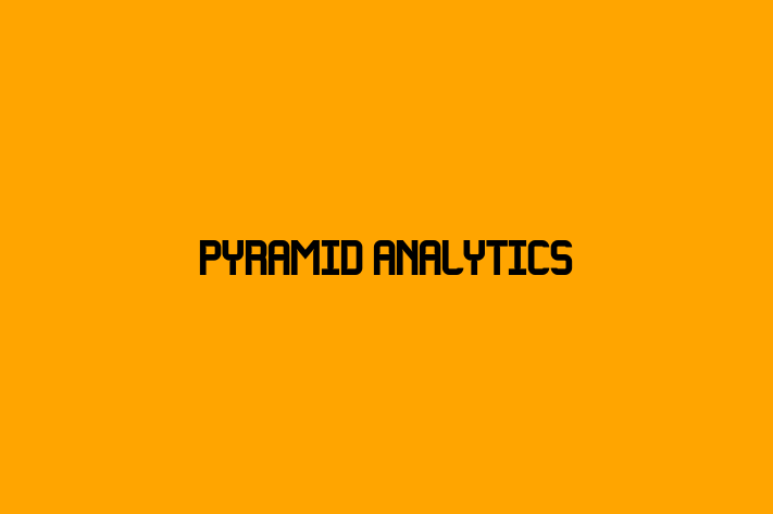 Software Consultancy Pyramid Analytics