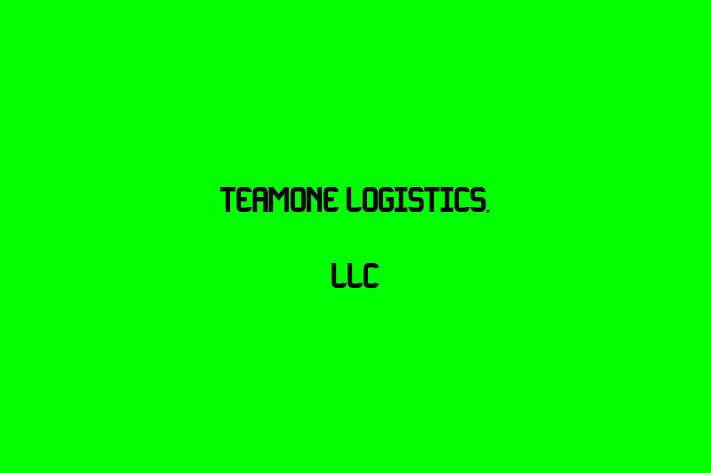 Talent Management TeamOne Logistics LLC