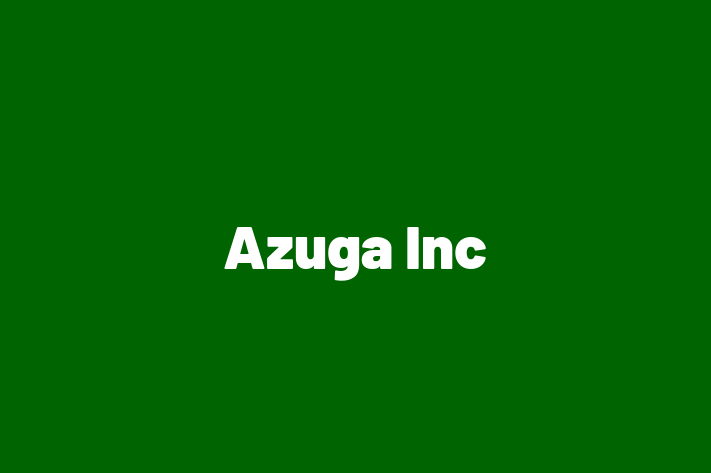 Application Development Company Azuga Inc