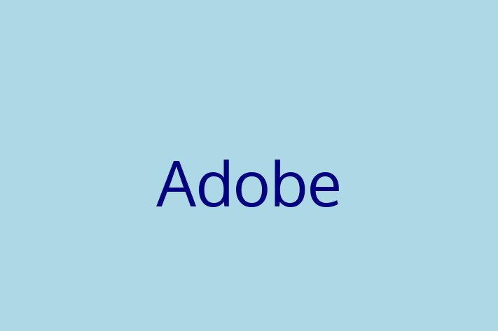 Software Solutions Provider Adobe