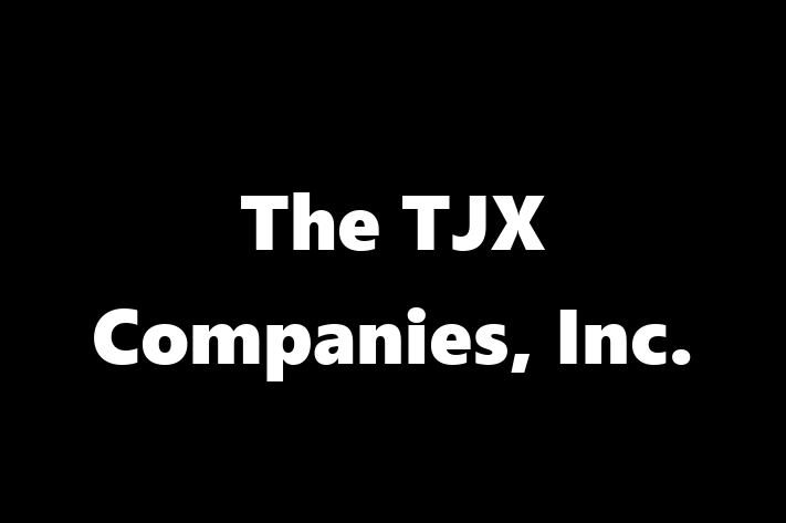 Talent Management The TJX Companies Inc.