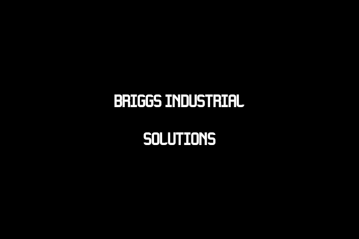 Talent Management Briggs Industrial Solutions