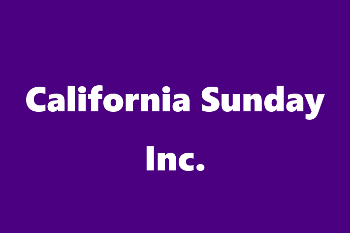 Software Solutions Provider California Sunday Inc.