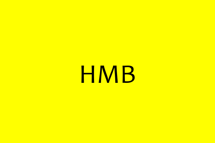 Software Development Company HMB