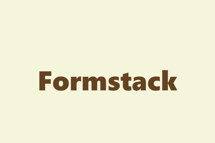 Software Engineering Company Formstack