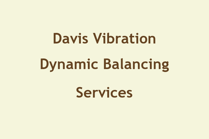 Software Services Company Davis Vibration Dynamic Balancing Services