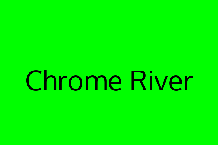 Application Development Company Chrome River